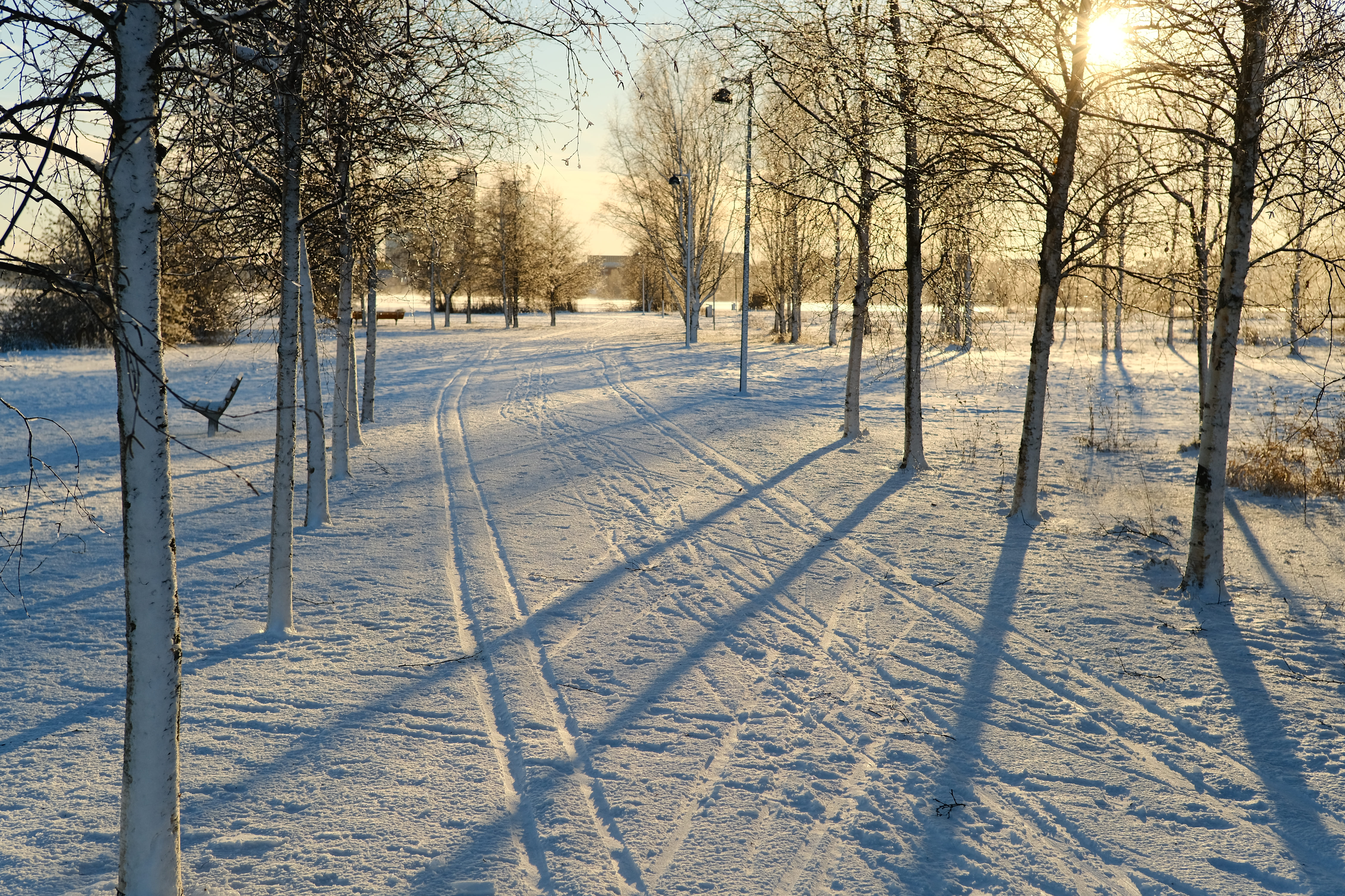 Snow-lined boreal trail showing calm walking space near Helsinki forests.